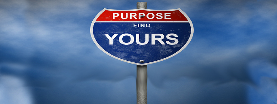 need help finding your purposee